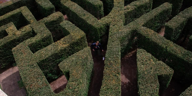 Birds eye view of person walking in a maze