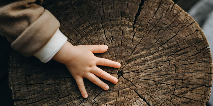 Child's hand on tree trunk