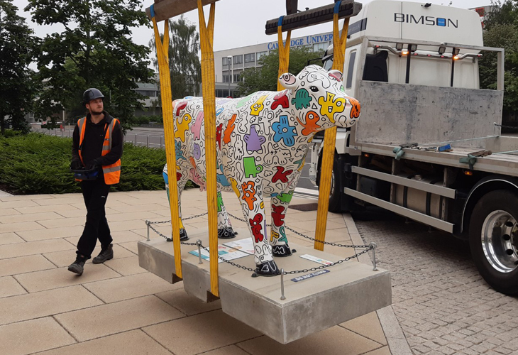 The Cambridge Assessment cow painted by artist Tori Woolley is lifted by carne into position in front of The Triangle as part of the Cows About Cambridge outdoor art trail