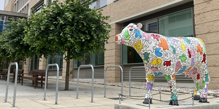 the cambridge assessment cow painted by artist tori woolley in position in front of the triangle as part of the cows about cambridge outdoor art trail