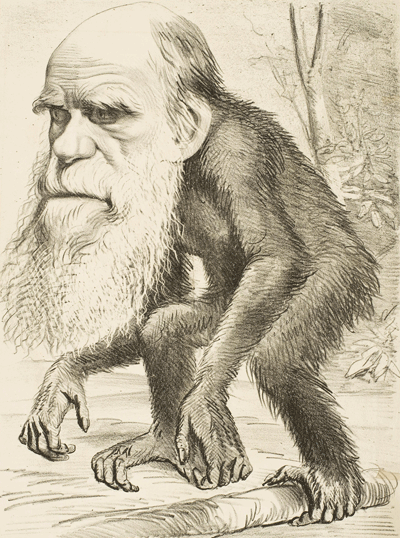 emojis and exams darwin depicted as monkey image