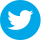 Twitter - icon